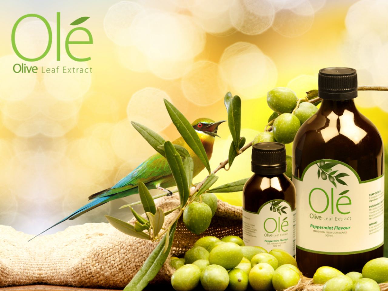 OLÉ (SIROP)